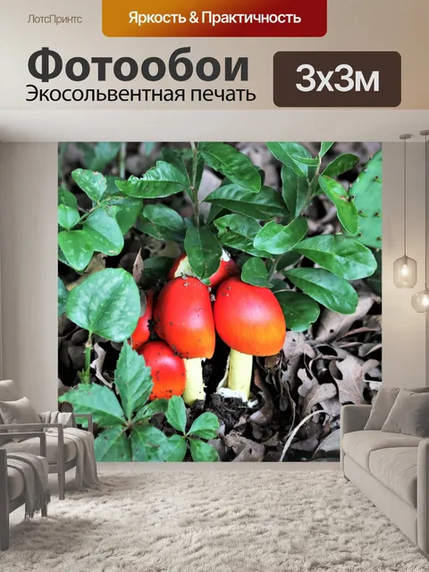 Фотообои Оранжевые грибы-аманиты в листьях