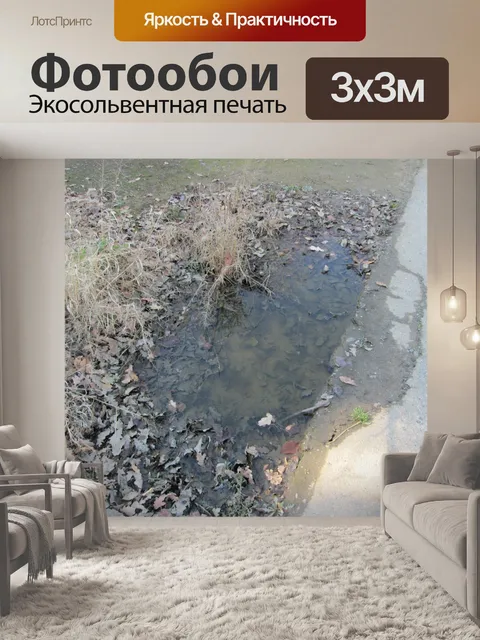 Фотообои Лужа 2
