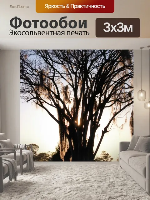 Фотообои Силуэт кладбище Дерево