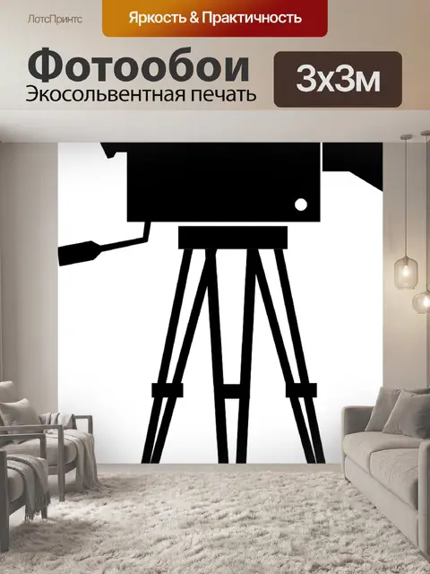 Фотообои Камера