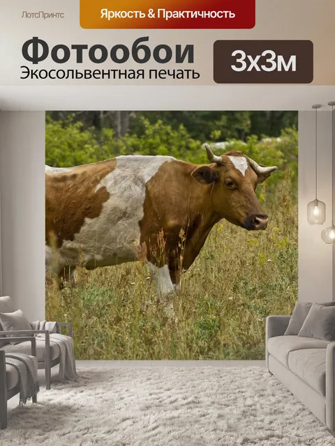 Фотообои Корова