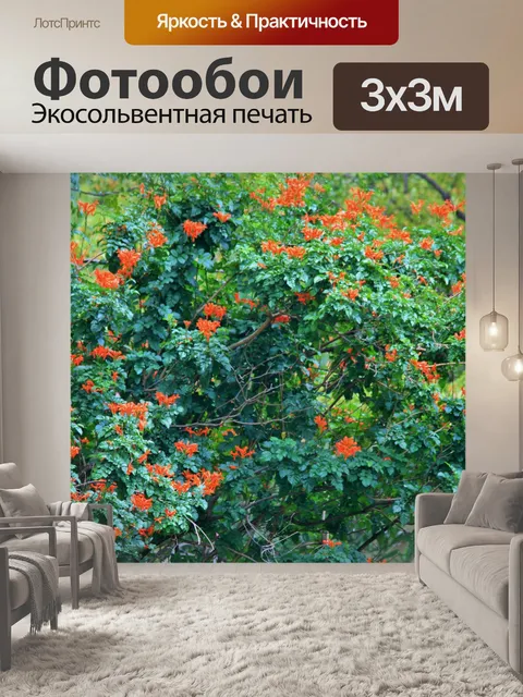 Фотообои плотная оранжевая жимолость лианы