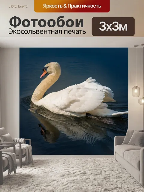 Фотообои Белый лебедь