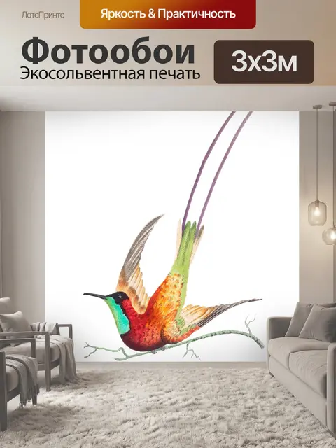 Фотообои Колибри винтаж искусство старый