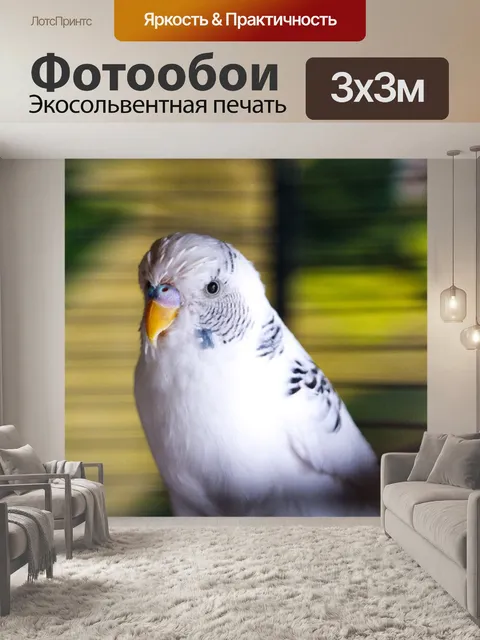 Фотообои Волнистый попугайчик