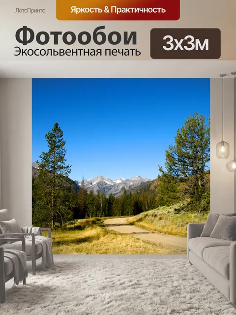 Фотообои Дорога в Вайоминг лесу