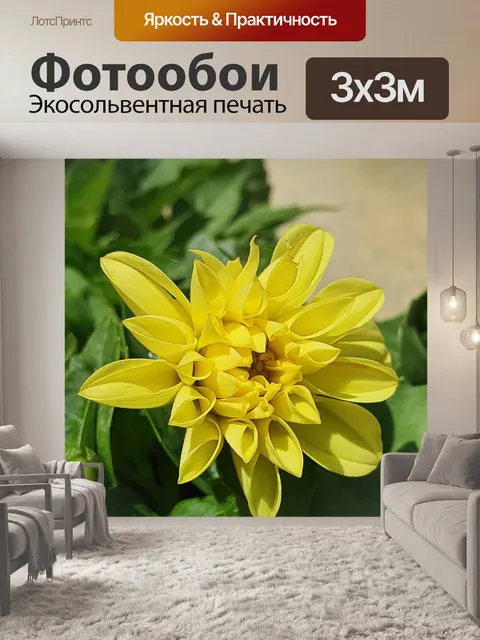 Фотообои Цветок