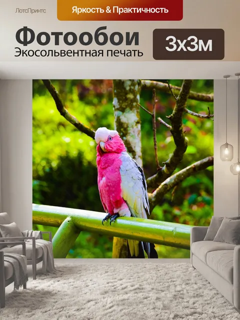 Фотообои Птица