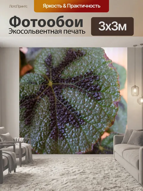 Фотообои Растение