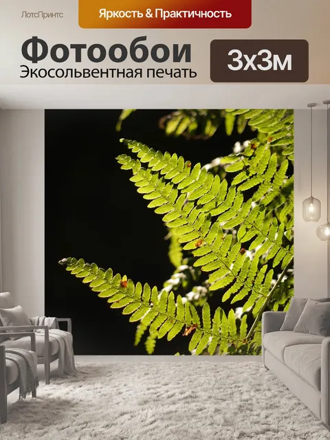Фотообои Папоротник