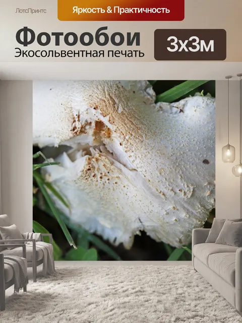 Фотообои коричневая текстура на белом грибе