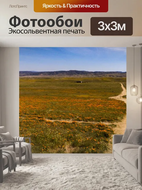 Фотообои Дорога к макам
