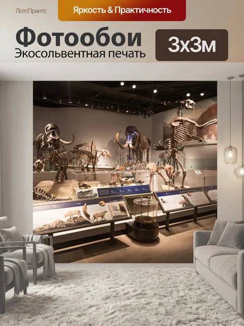 Фотообои Экспонат музея