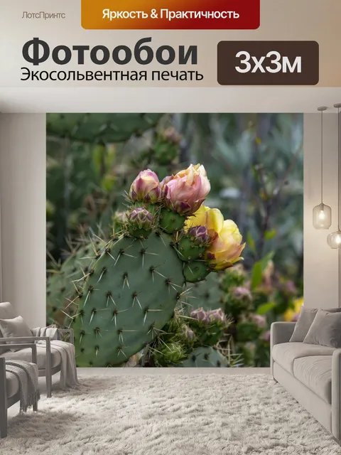 Фотообои Опунция Цветет кактус