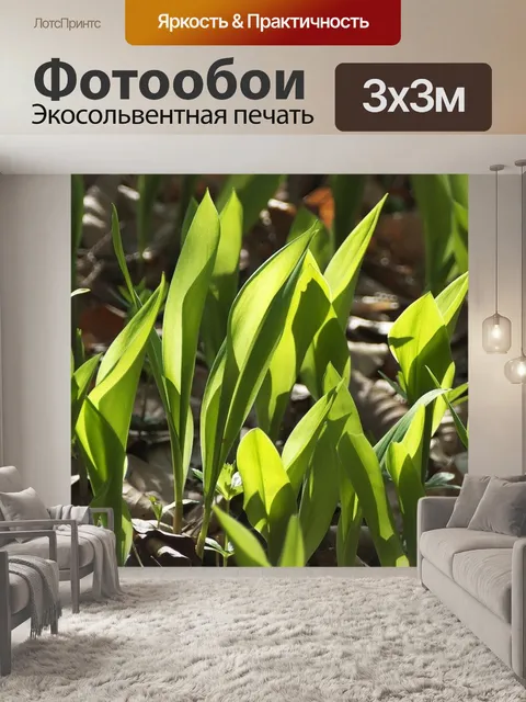Фотообои Ландыш