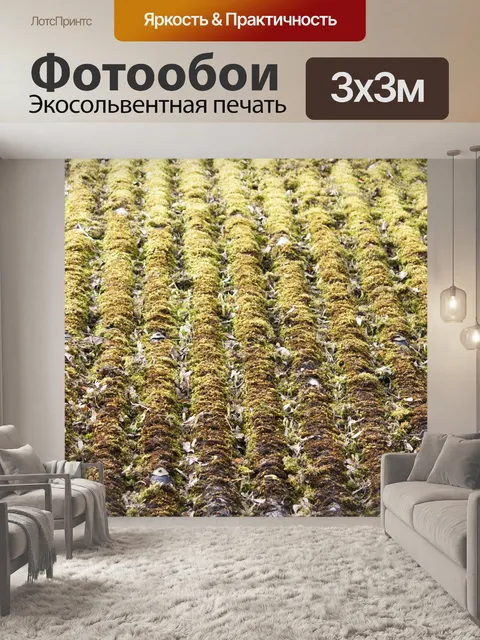 Фотообои Мох на гофрированной крышей