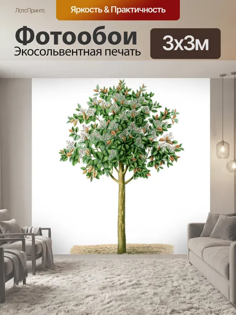 Фотообои Винтажная иллюстрация дерева старая
