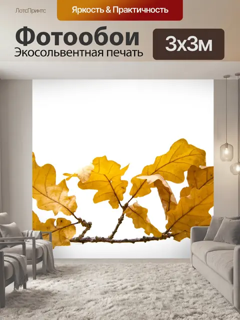 Фотообои Осенние листья