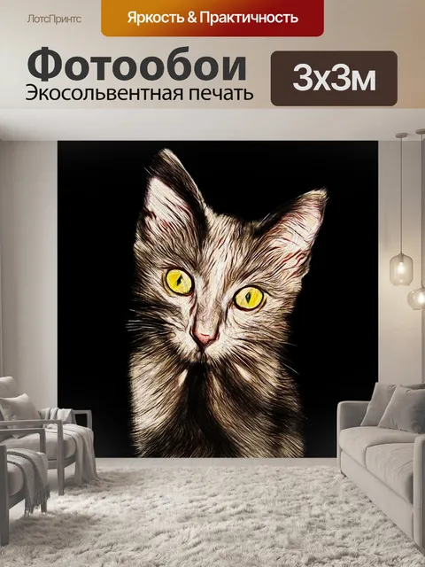 Фотообои Котик