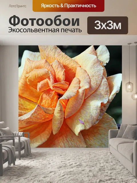 Фотообои Оранжевые розы