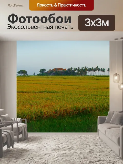 Фотообои Рисовые поля
