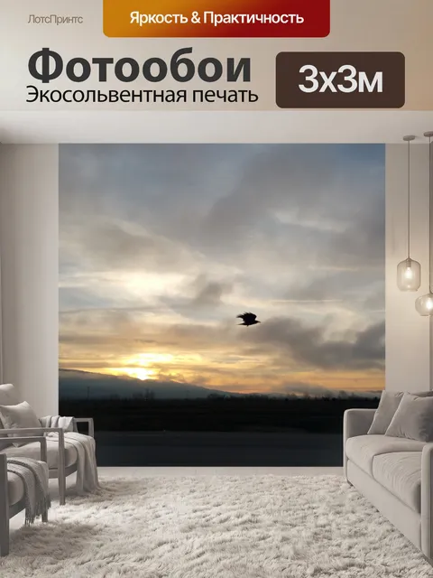 Фотообои Полет на закате