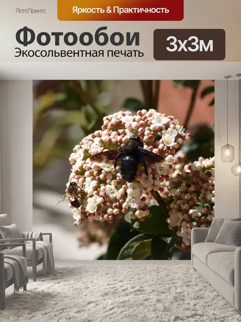 Фотообои Насекомое
