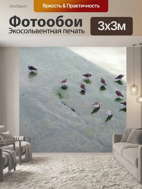 Фотообои Птицы