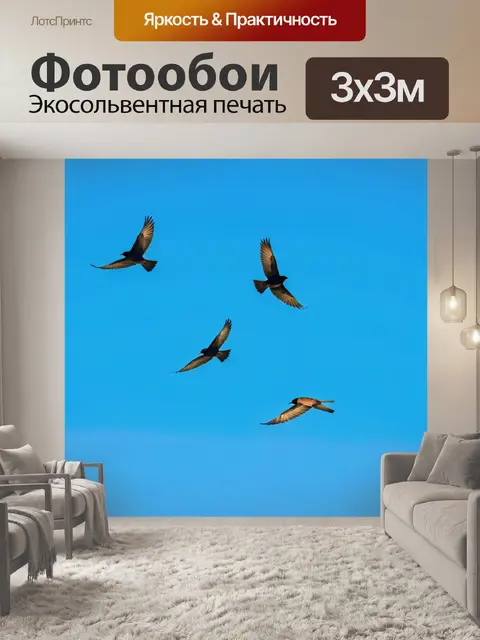 Фотообои летящие птицы на фоне голубого неба