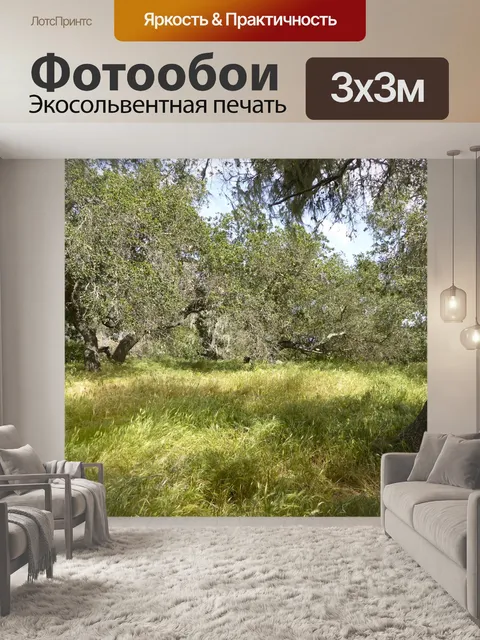 Фотообои Травяной луг