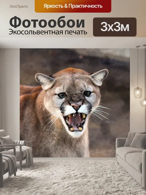Фотообои Пума