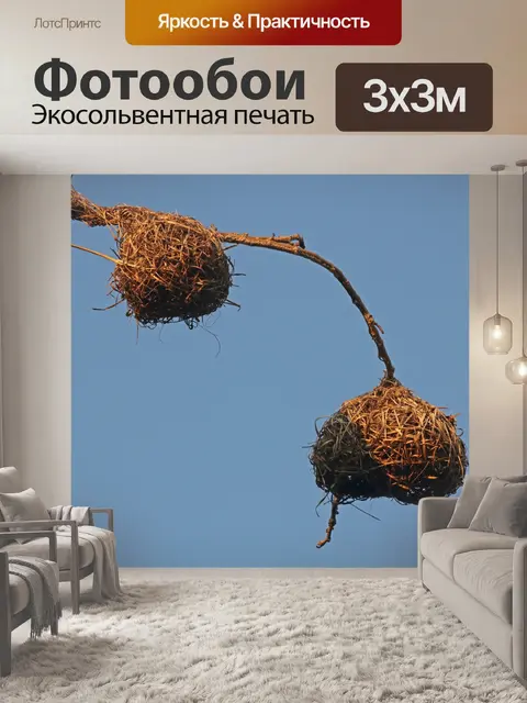 Фотообои высушенные тканые гнезда в золотом свете