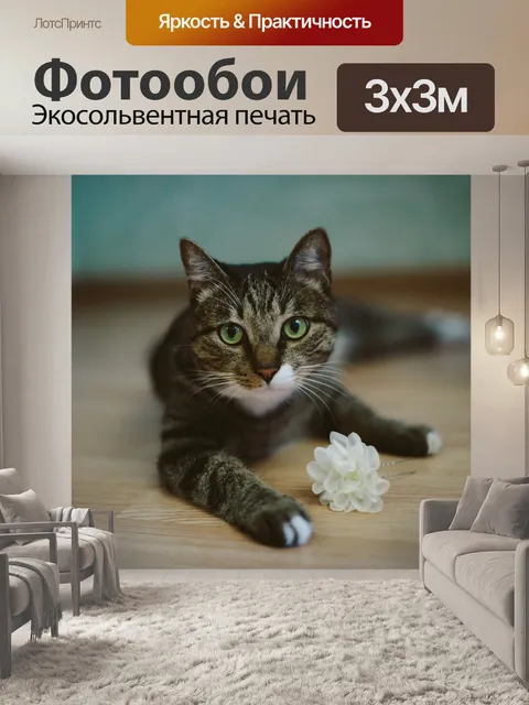 Фотообои Кот