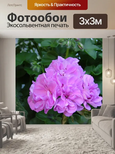 Фотообои Розовая герань