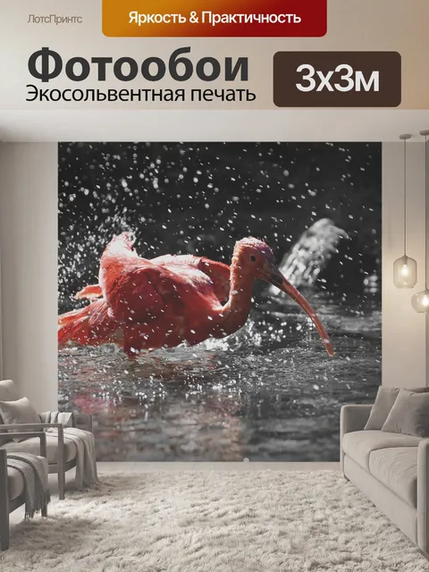 Фотообои Ибис