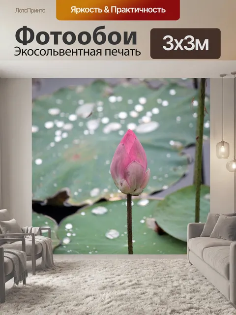 Фотообои Красный бутон цветка лотоса и листьев