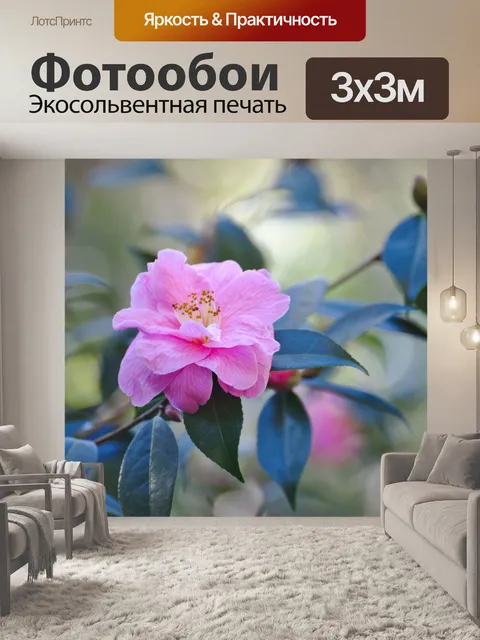 Фотообои Цветок дерева айвы Японии