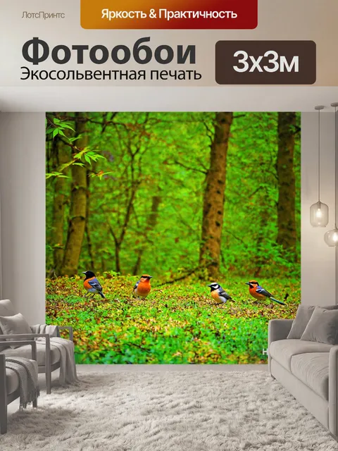 Фотообои лес с пением птиц и шорохом листвы