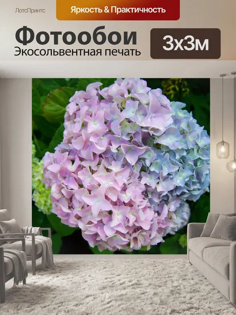 Фотообои Гортензия