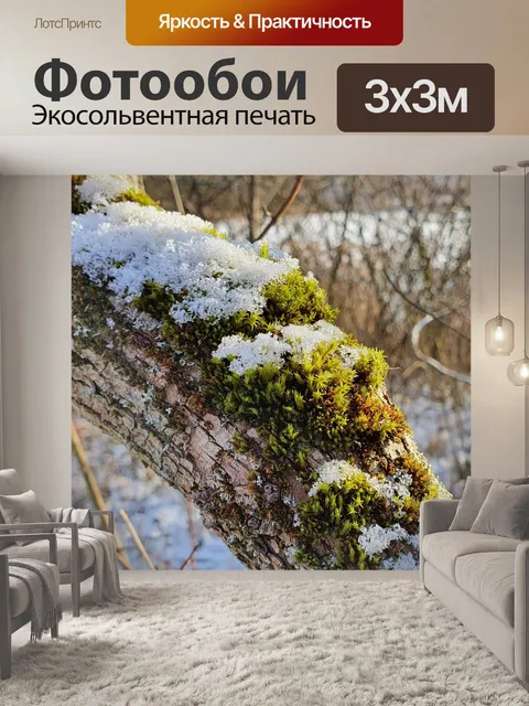 Фотообои Зима
