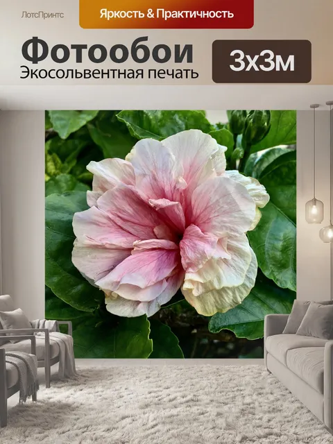Фотообои Ibisco розовый
