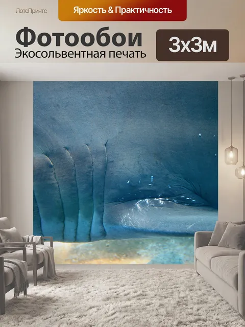 Фотообои акула жабры 2