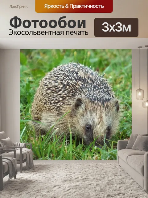 Фотообои Ханна