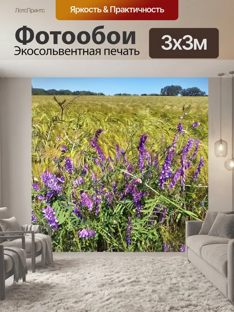 Фотообои Зерновые полевые цветы пейзаж