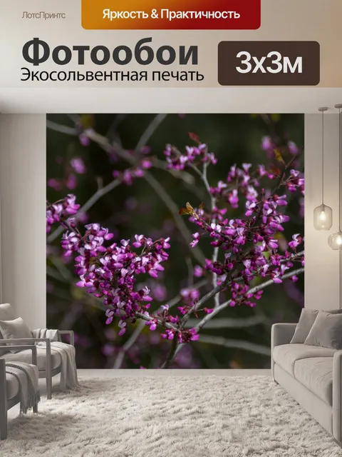 Фотообои Розовые полевые цветы
