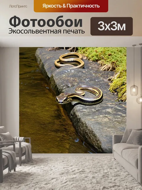 Фотообои змея, ползущая по каменистой поверхности вдоль речного берега, с налетом зеленого мха на её чешуе