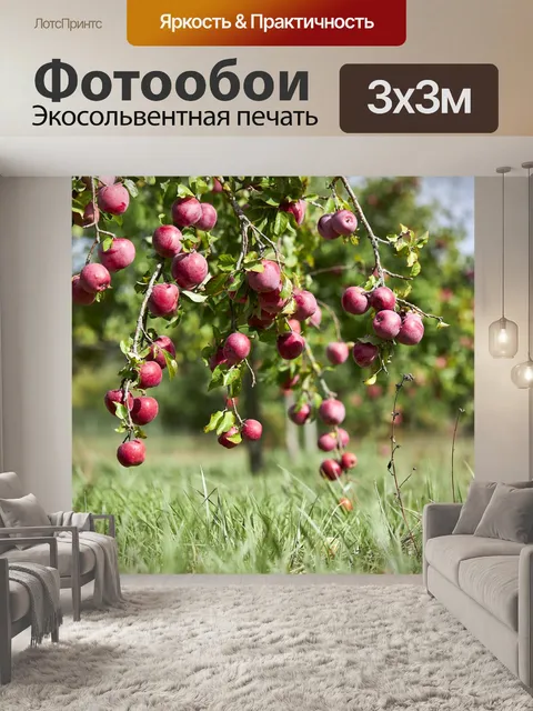 Фотообои Дерево