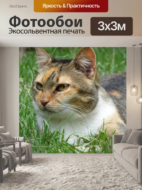 Фотообои Кошка
