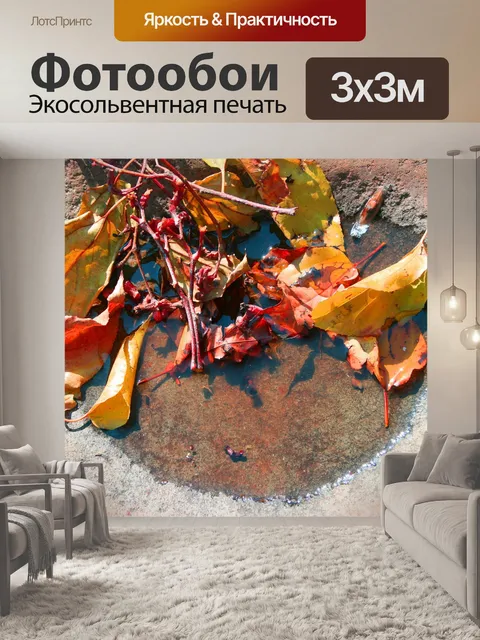 Фотообои ржавчина оставляет в луже