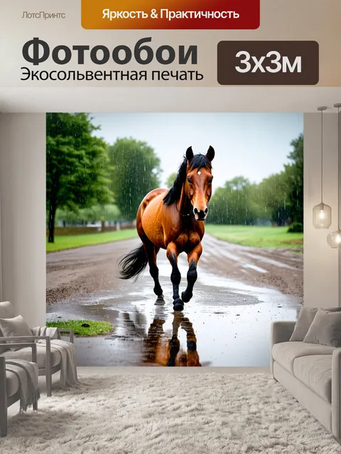 Фотообои лошадь, резвящаяся в лужах после дождя